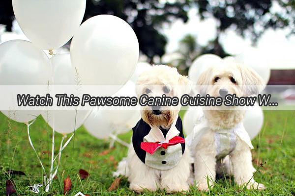 Watch This Pawsome Canine Cuisine Show Whats on the Menu When Dogs Stand Up